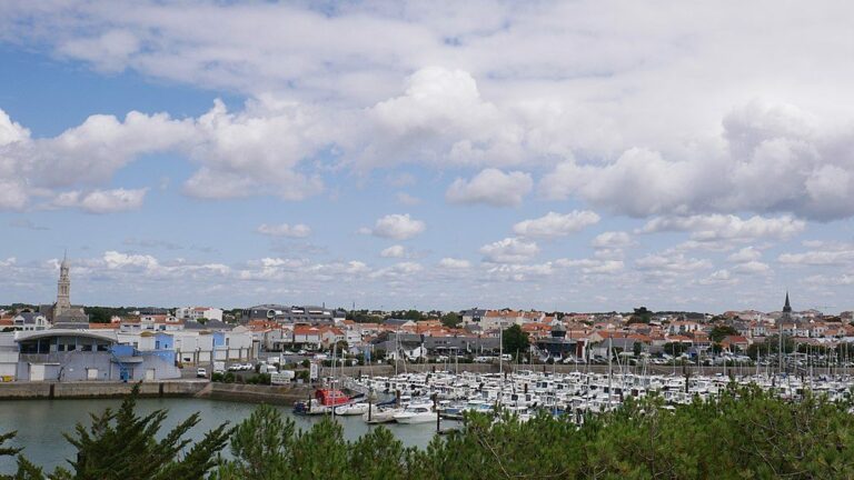 Société de débarras à Saint Gilles Croix de Vie, 85800 Vendée