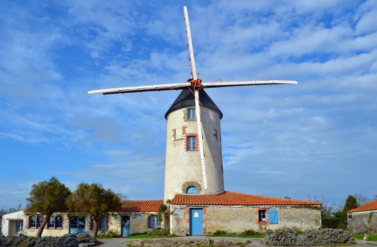 Société de débarras à Sallertaine, 85300 Vendée